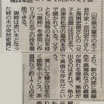 福西本店での「吉田宏介・宏信父子木芸展」を福島民報に掲載いただきました。